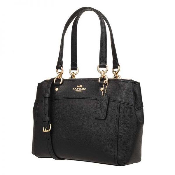 Coach Womens Mini Brooke Carryall Handbag – AEU Premium